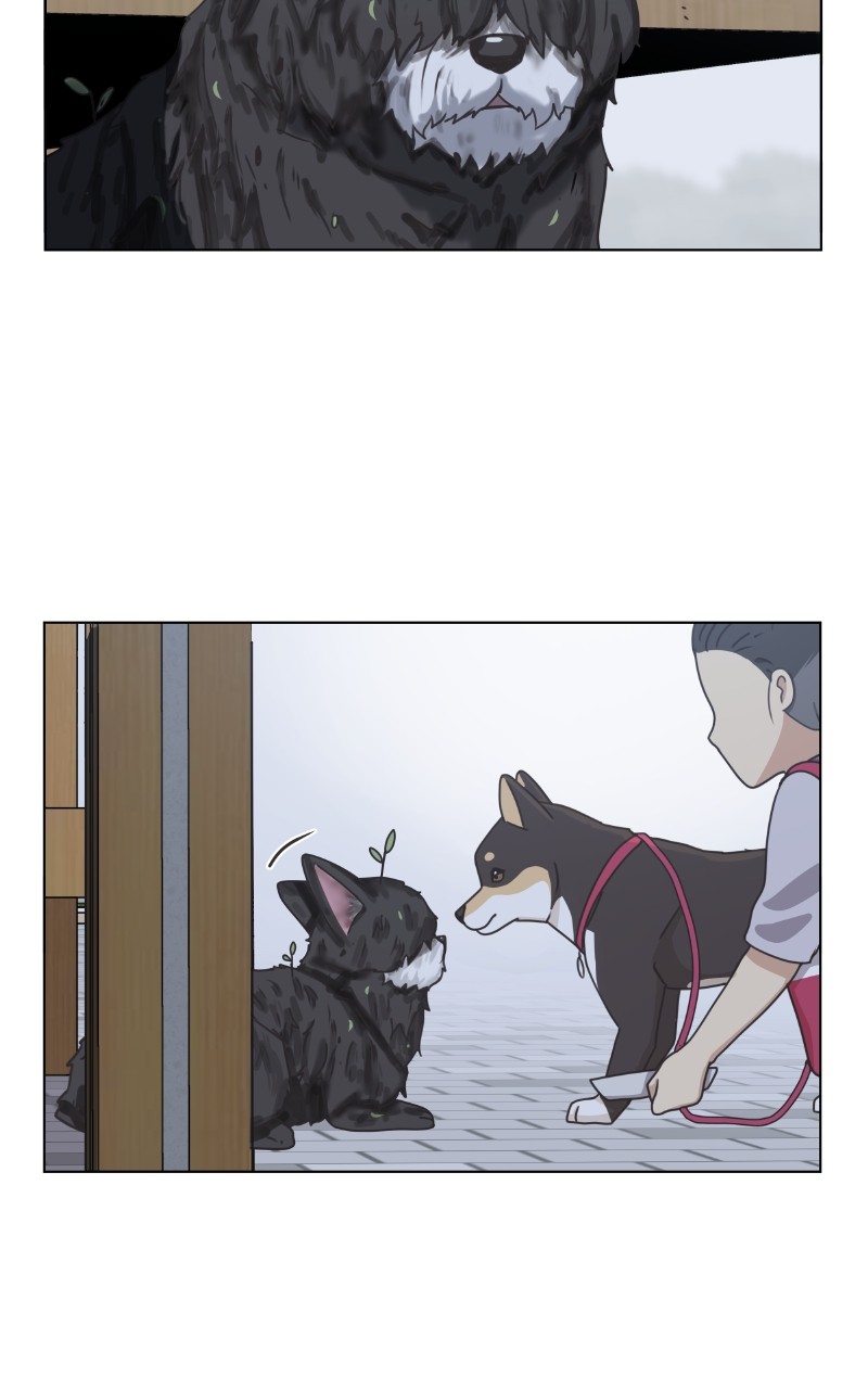 The Dog Diaries Chapter 92 #13
