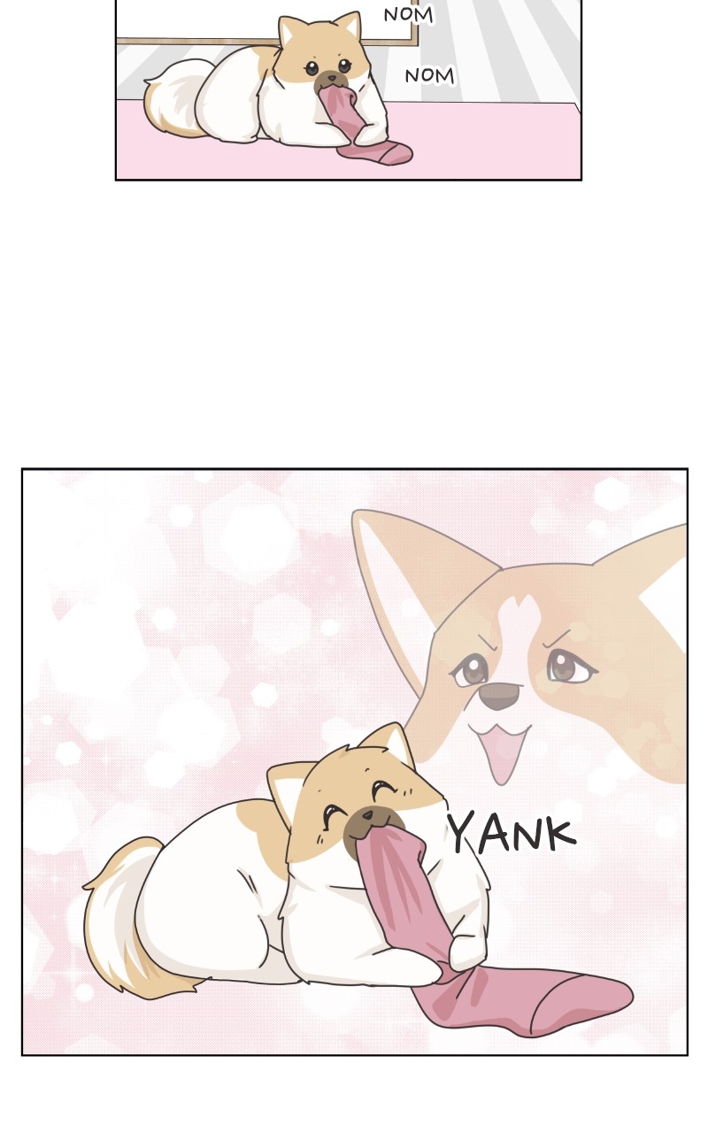 The Dog Diaries Chapter 92 #51