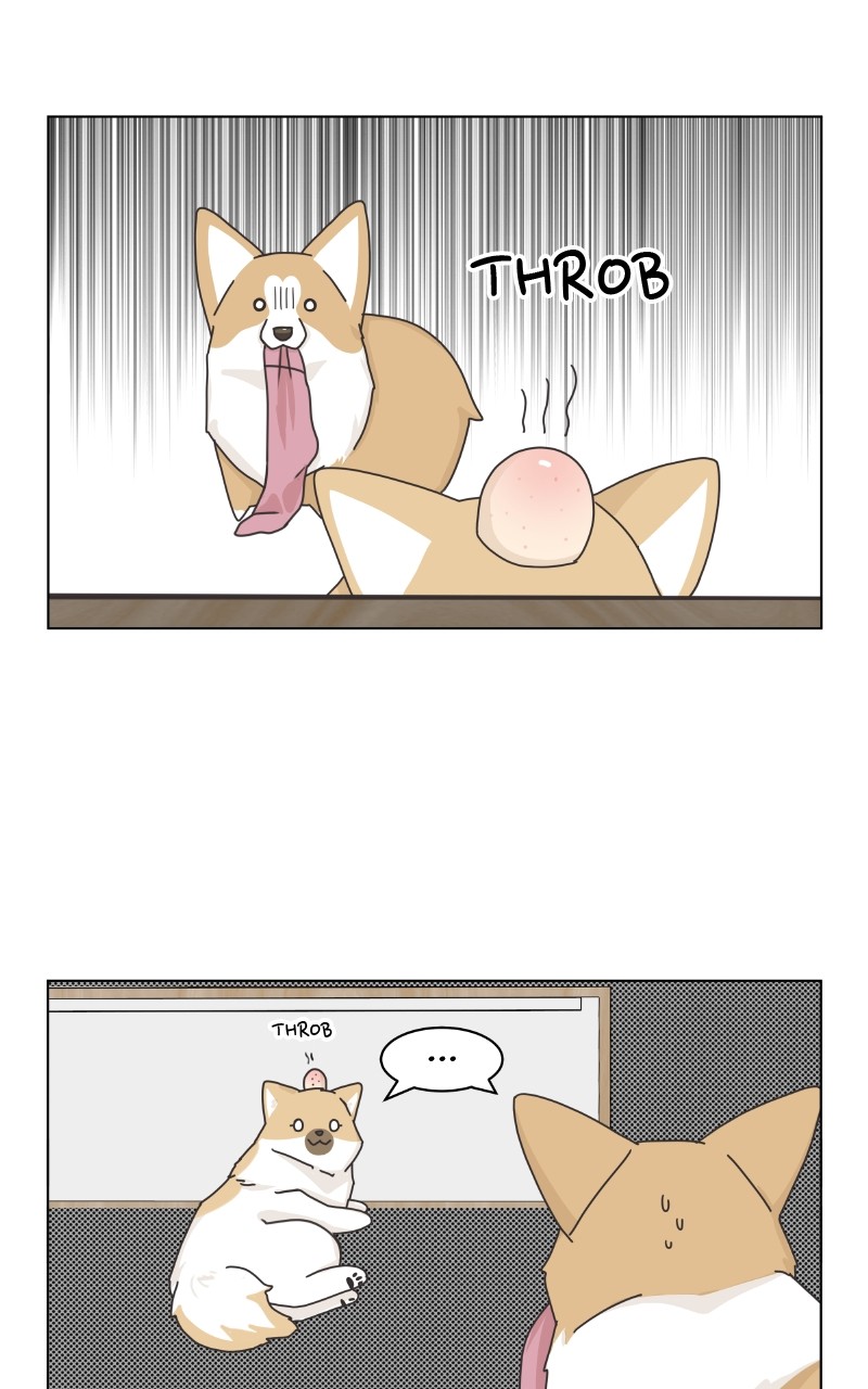 The Dog Diaries Chapter 92 #56