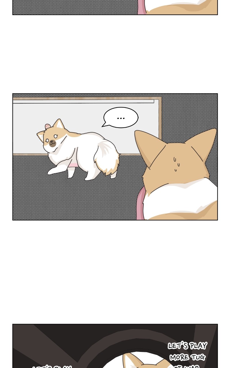 The Dog Diaries Chapter 92 #57