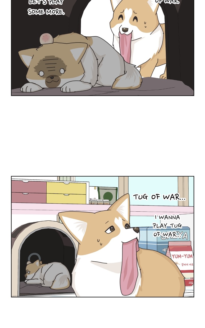 The Dog Diaries Chapter 92 #58