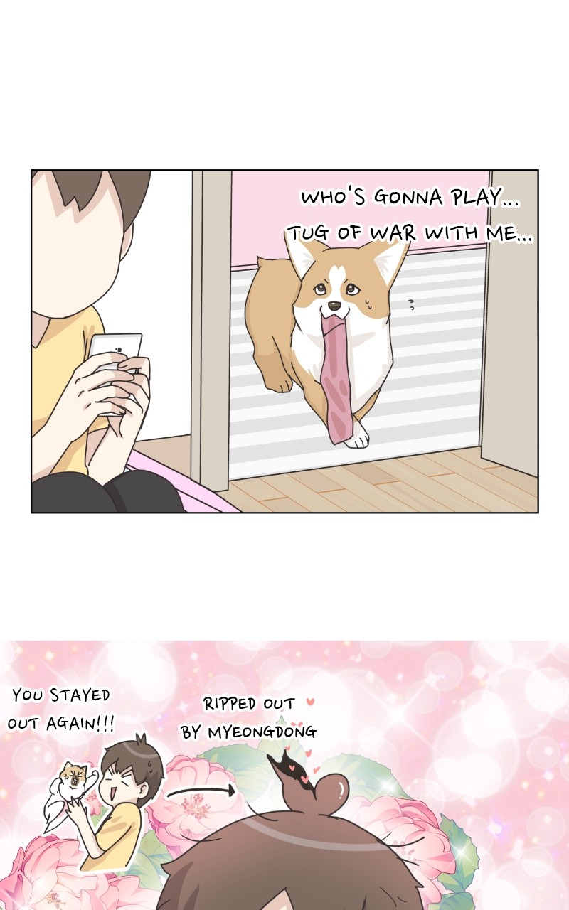 The Dog Diaries Chapter 92 #59