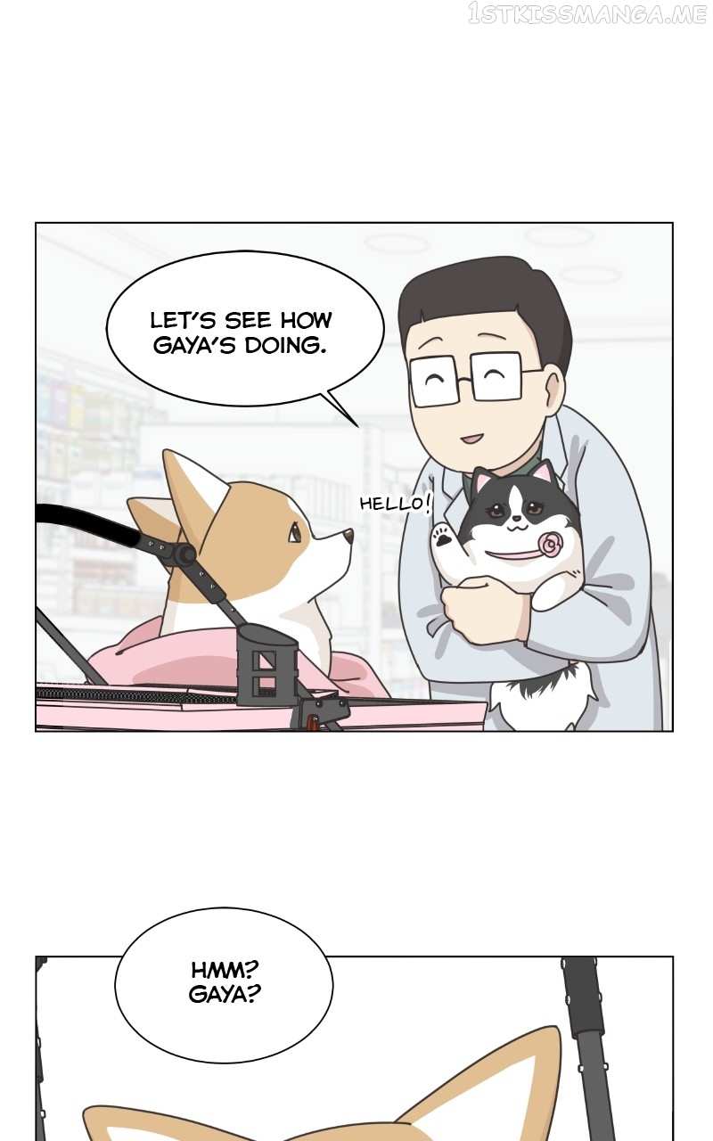 The Dog Diaries Chapter 94 #29