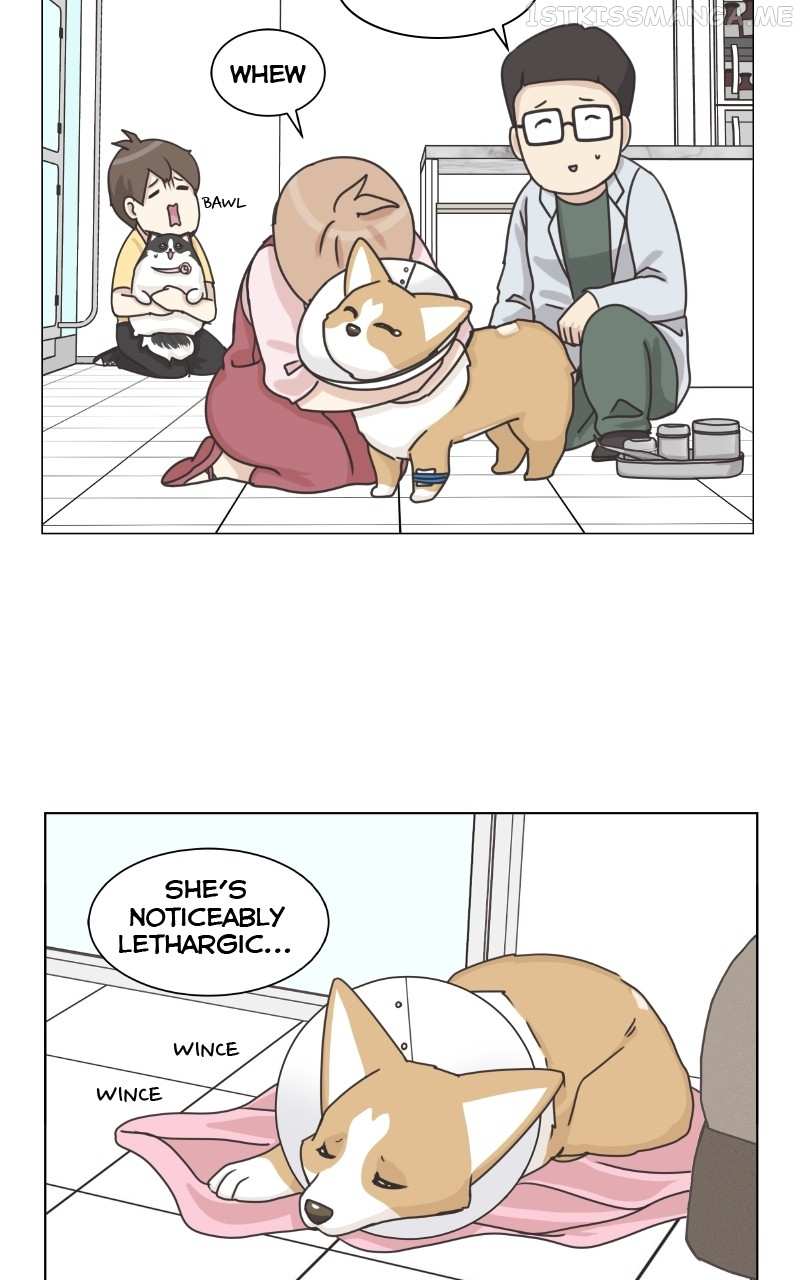 The Dog Diaries Chapter 94 #42