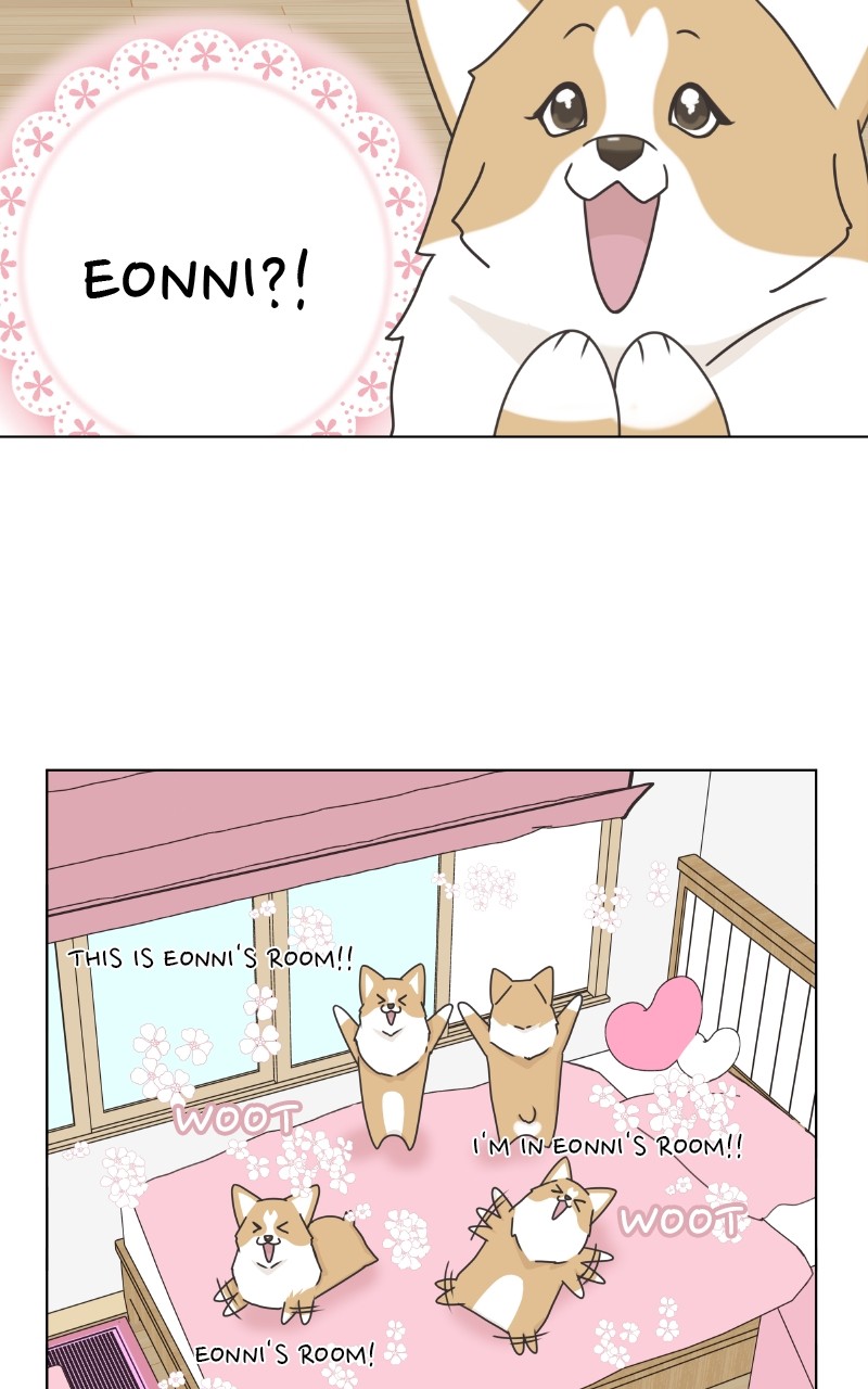 The Dog Diaries Chapter 89 #5