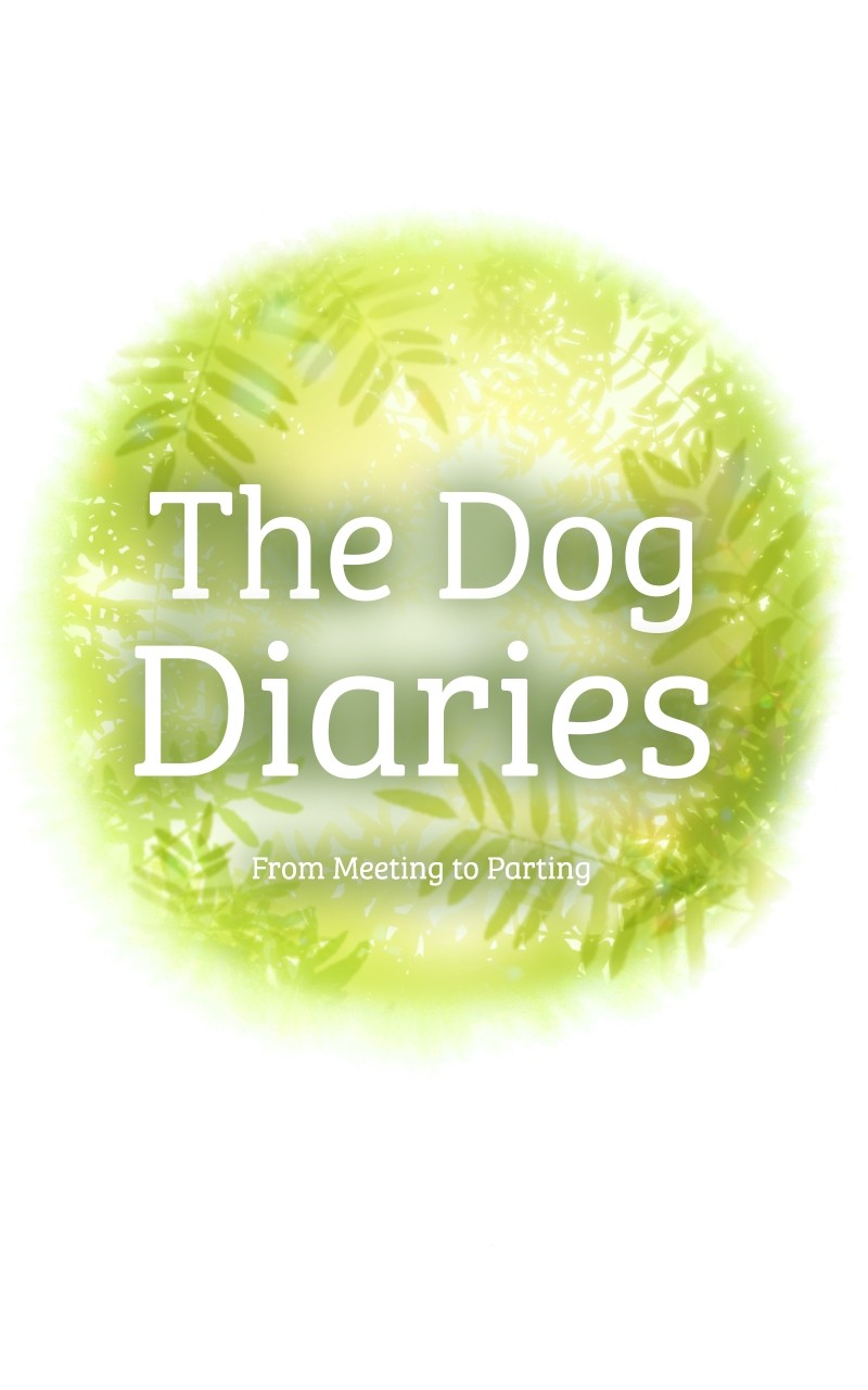 The Dog Diaries Chapter 89 #7