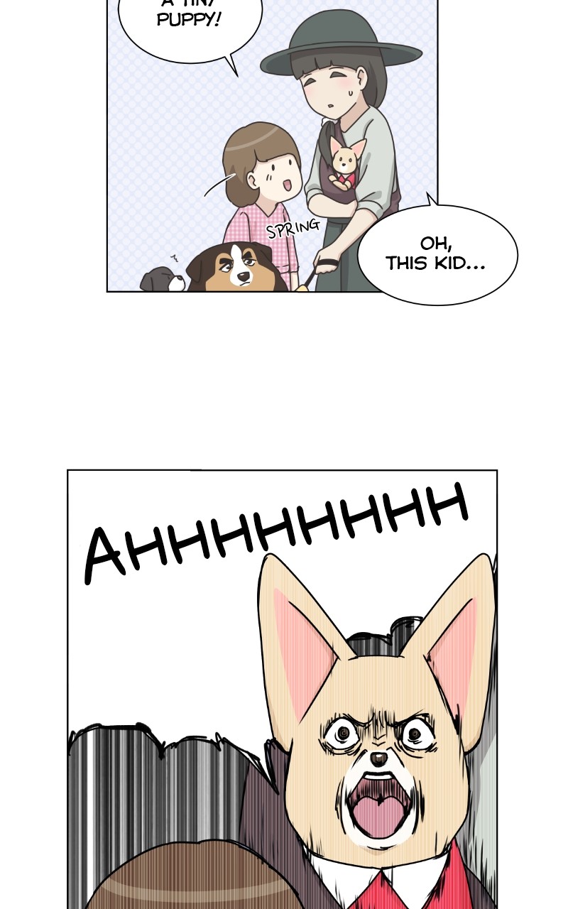 The Dog Diaries Chapter 89 #10