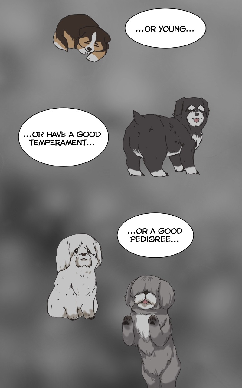 The Dog Diaries Chapter 89 #25