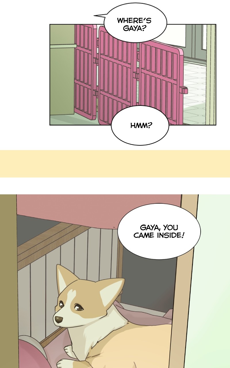The Dog Diaries Chapter 89 #37