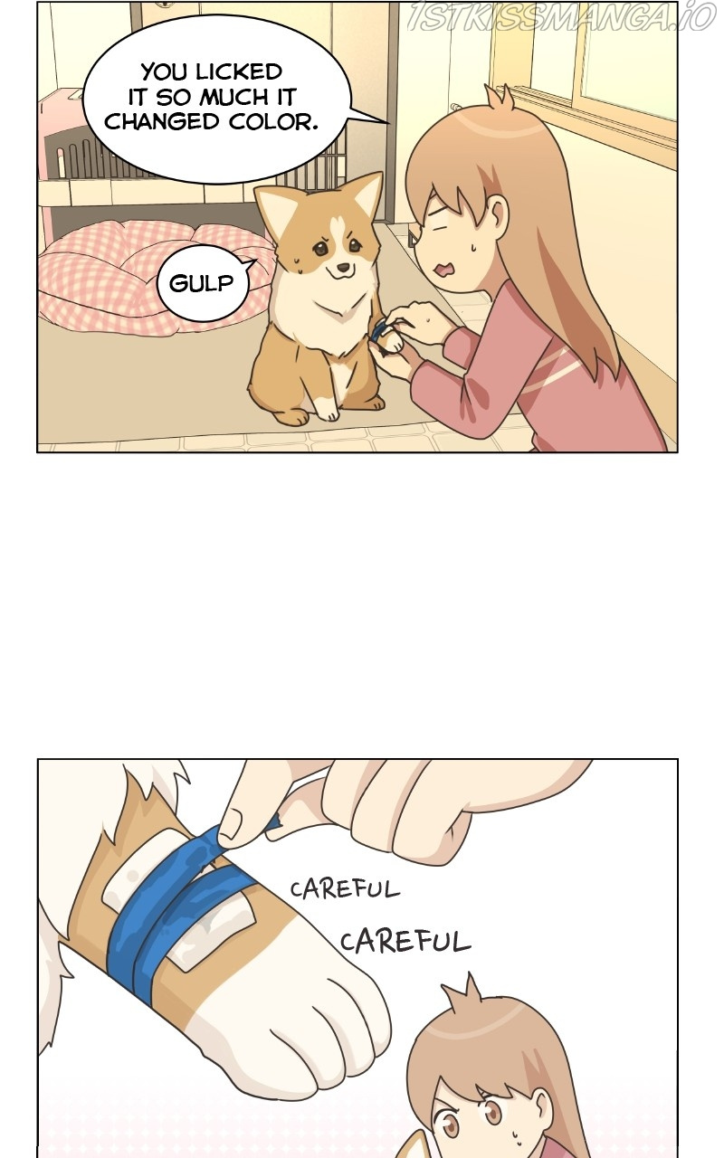 The Dog Diaries Chapter 84 #57
