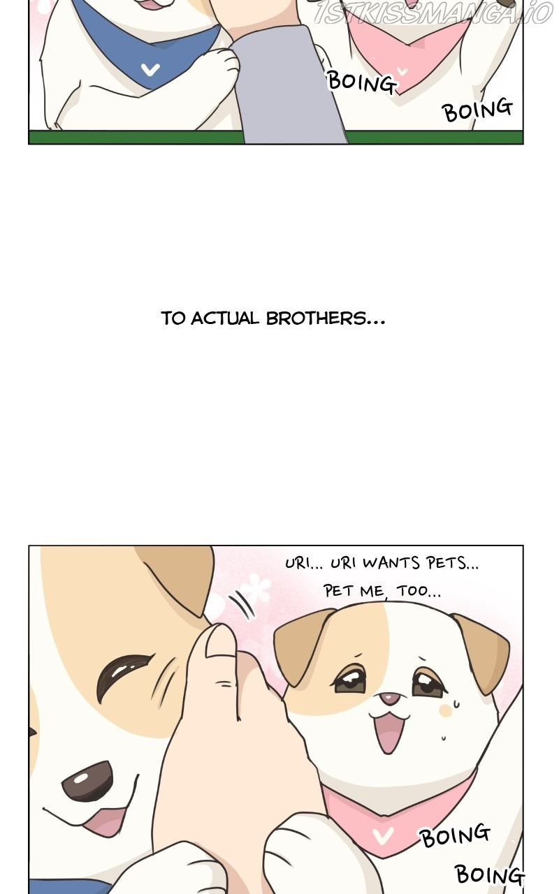 The Dog Diaries Chapter 84 #77