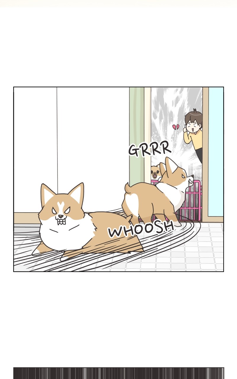 The Dog Diaries Chapter 85 #29