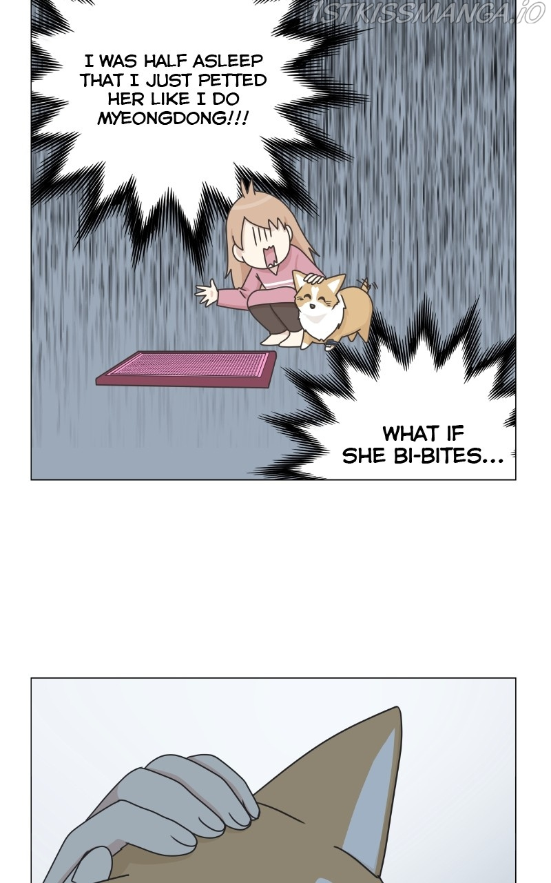 The Dog Diaries Chapter 83 #24