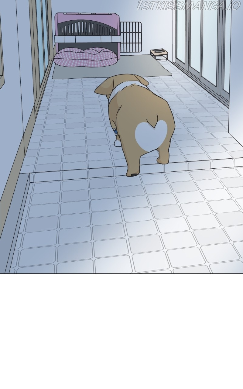 The Dog Diaries Chapter 82 #55