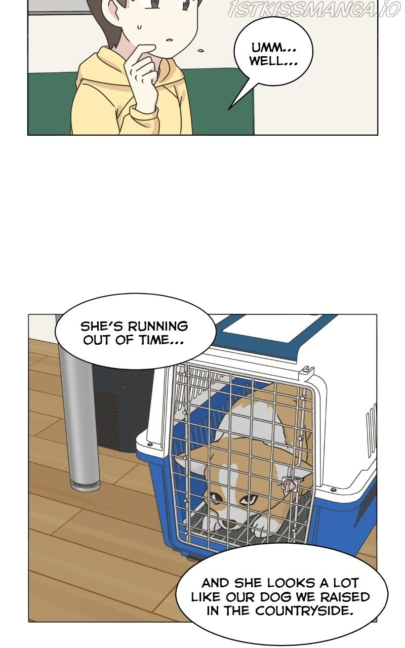 The Dog Diaries Chapter 80 #9