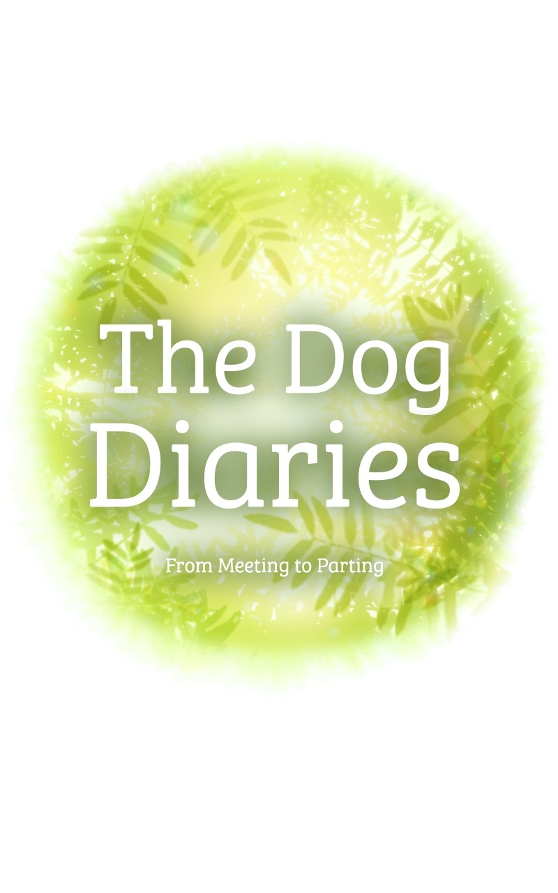 The Dog Diaries Chapter 87 #4