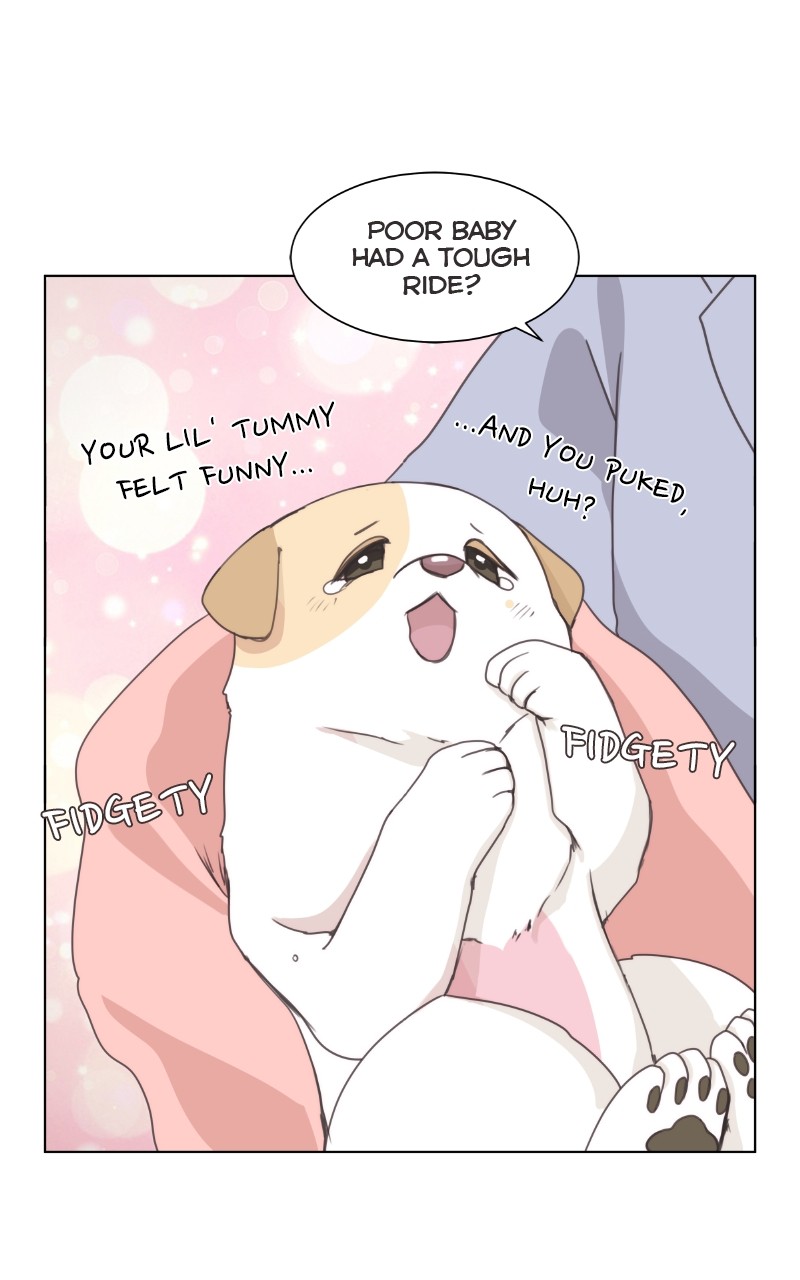 The Dog Diaries Chapter 87 #54