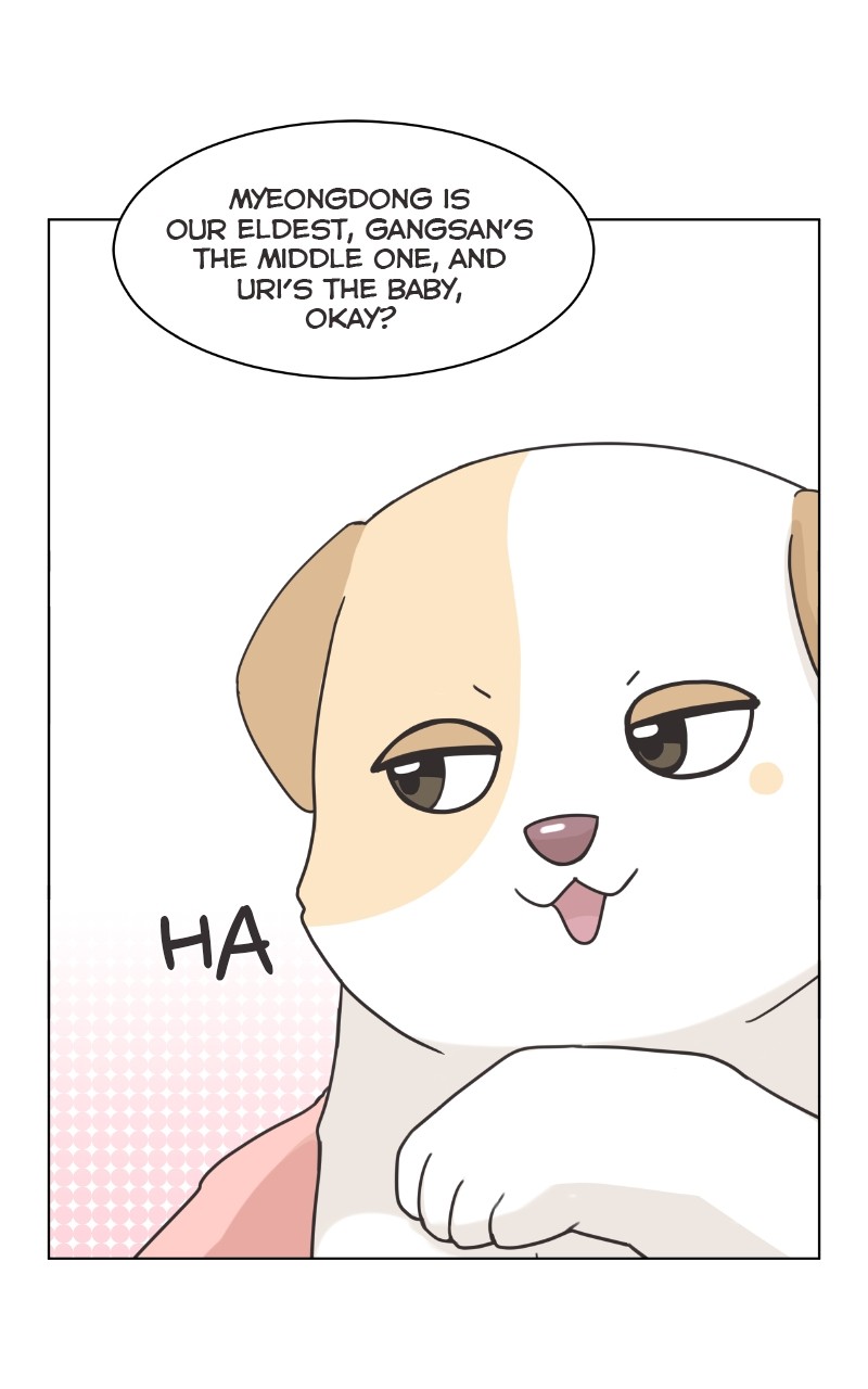 The Dog Diaries Chapter 87 #56