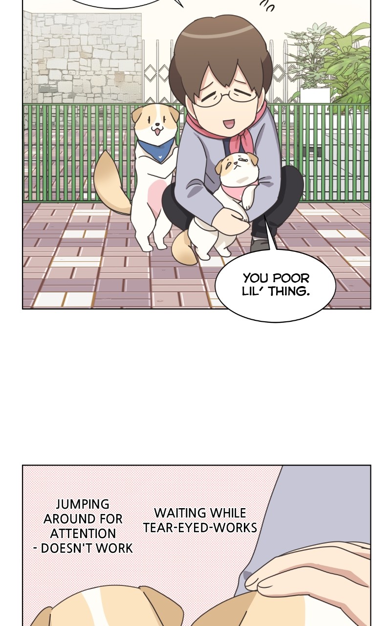 The Dog Diaries Chapter 87 #61