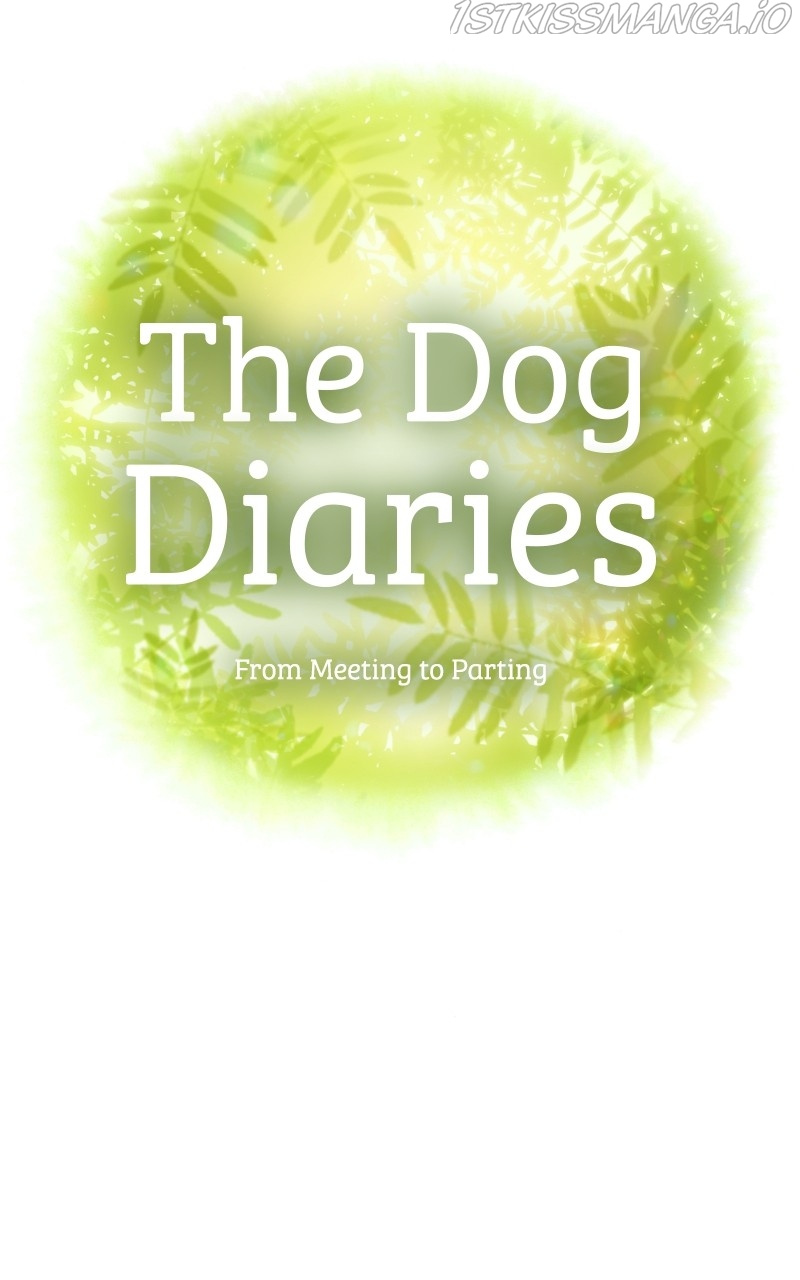 The Dog Diaries Chapter 77 #11