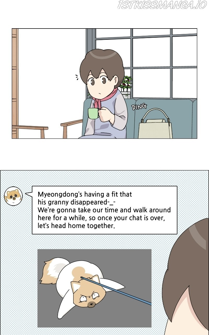 The Dog Diaries Chapter 68 #28