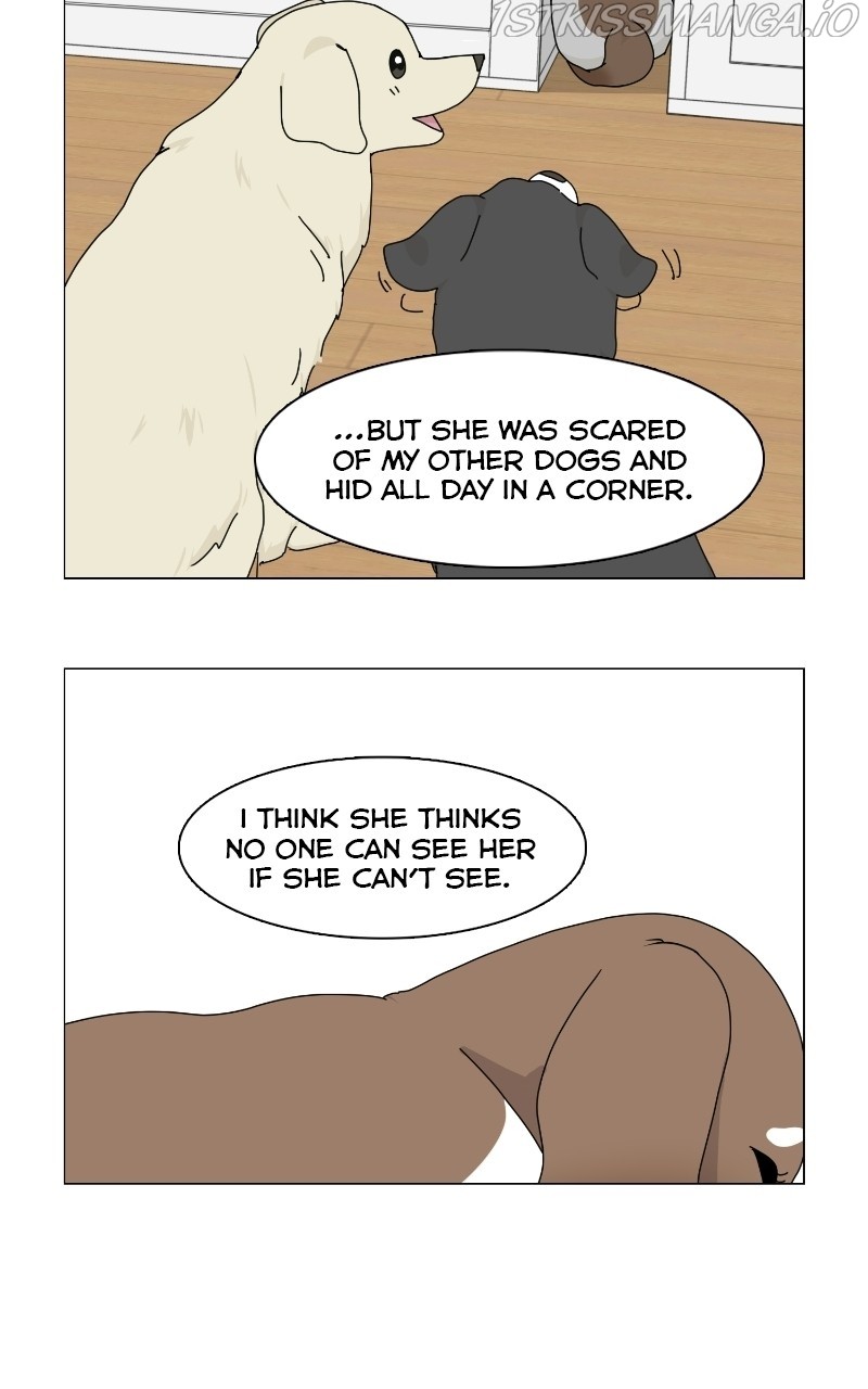 The Dog Diaries Chapter 66 #30