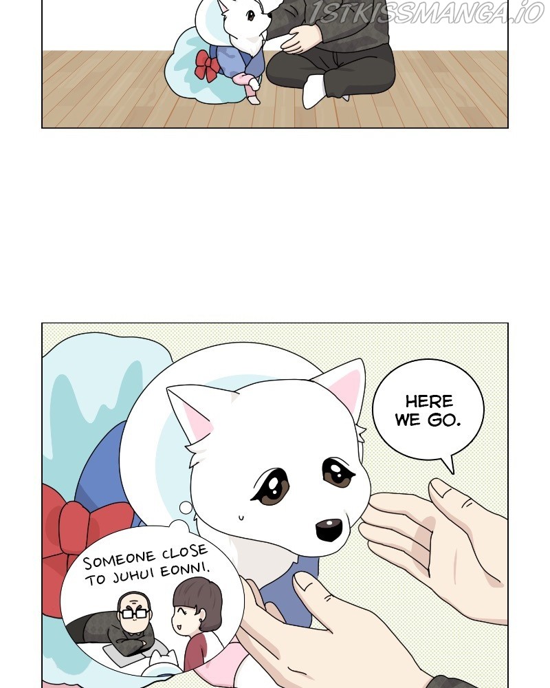 The Dog Diaries Chapter 62 #37