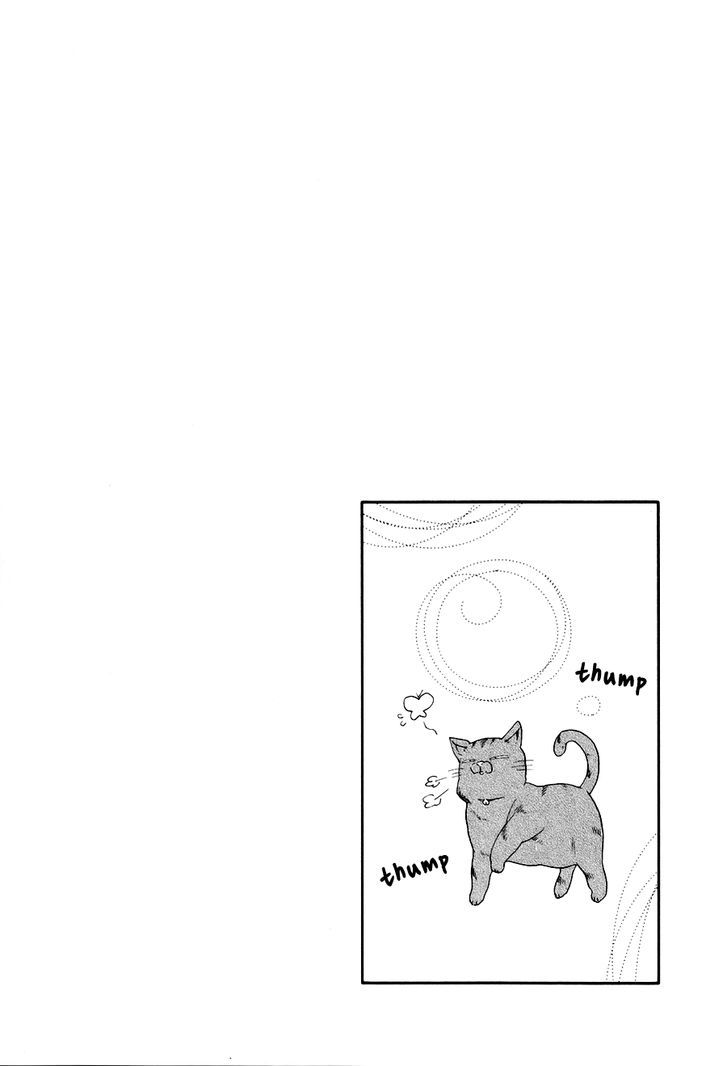 Boku To Neko To Hatsukoi Kousa Chapter 4.2 #33