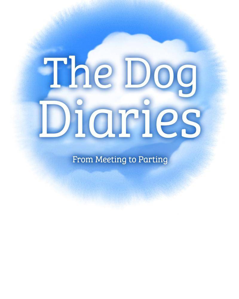 The Dog Diaries Chapter 45 #20
