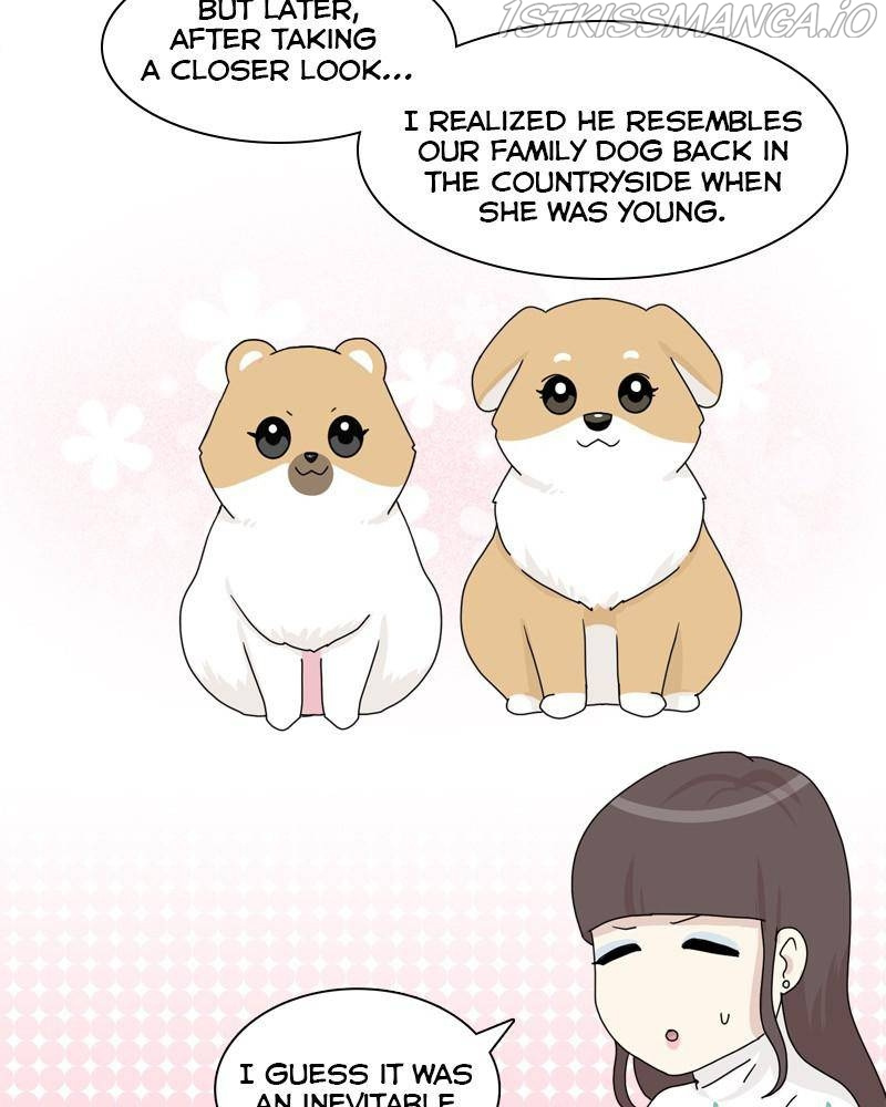 The Dog Diaries Chapter 41 #34