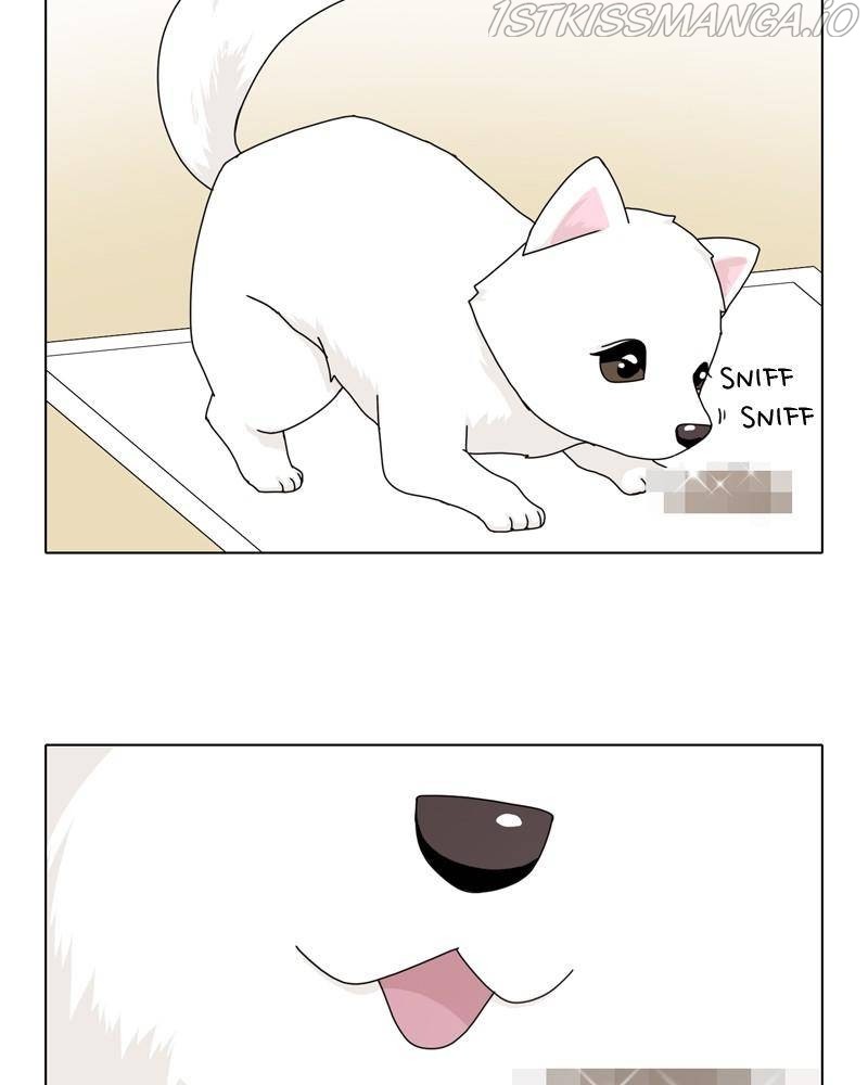 The Dog Diaries Chapter 43 #93
