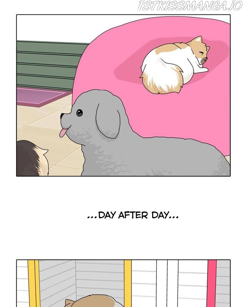 The Dog Diaries Chapter 39 #51