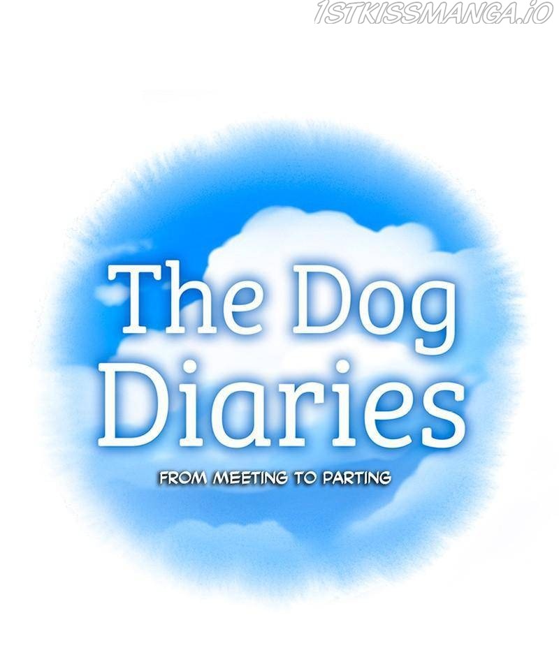 The Dog Diaries Chapter 24 #7