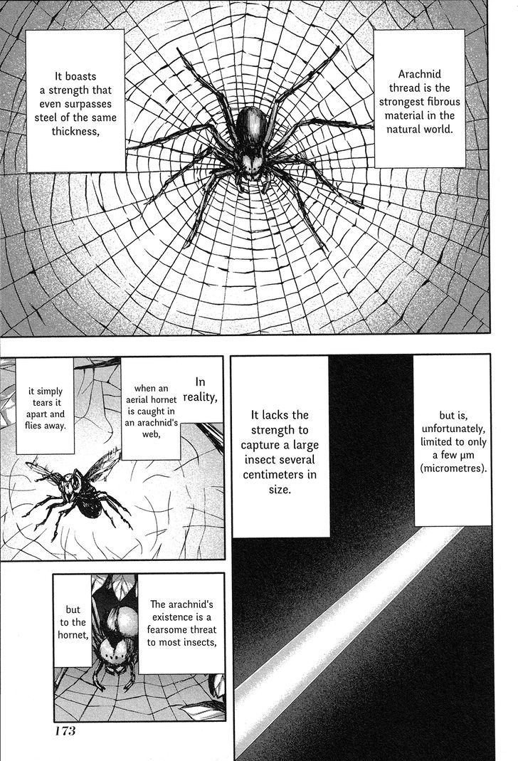 Arachnid Chapter 66 #3