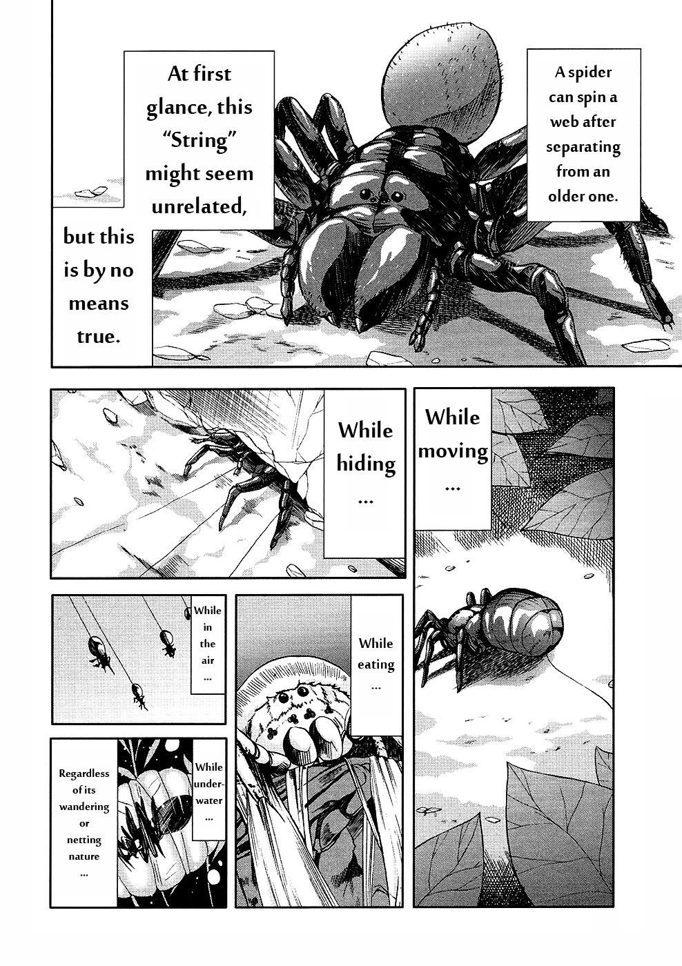 Arachnid Chapter 31 #37