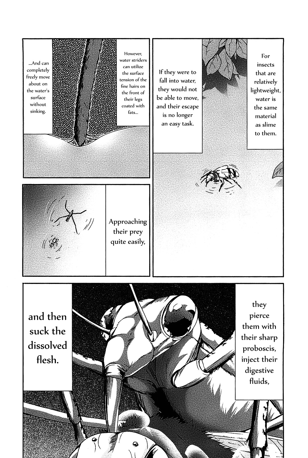 Arachnid Chapter 19 #34