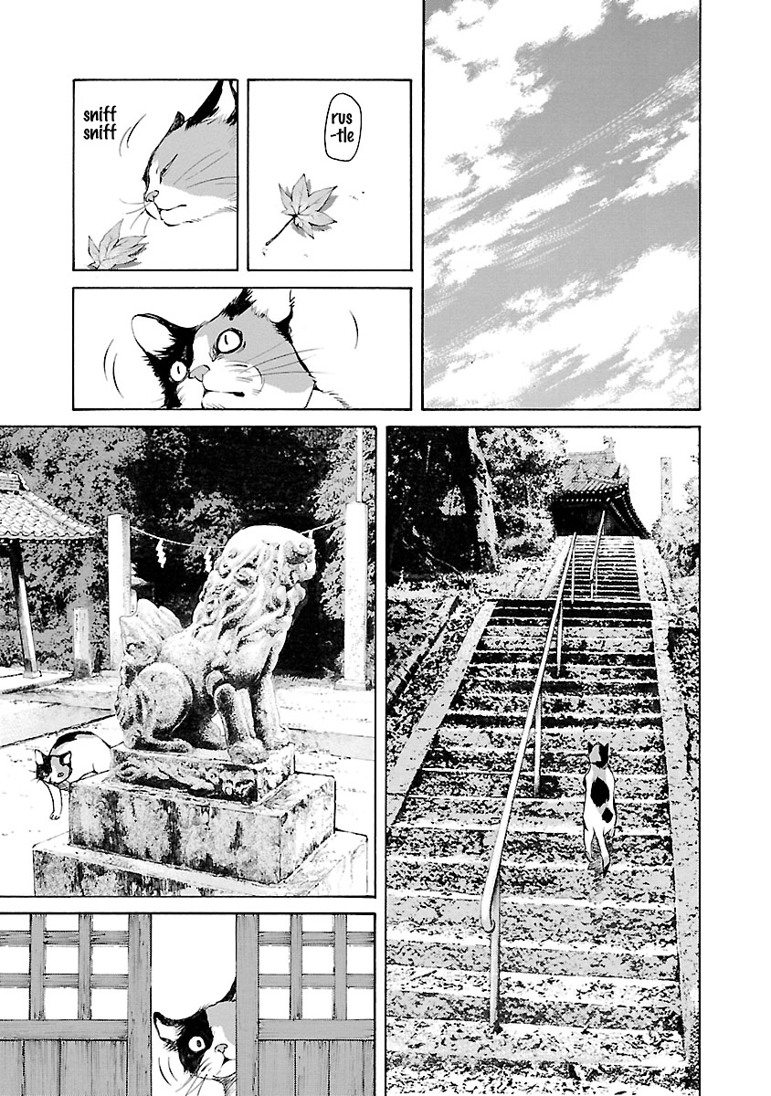 Ao No Shima To Neko Ippiki Chapter 14.5 #4