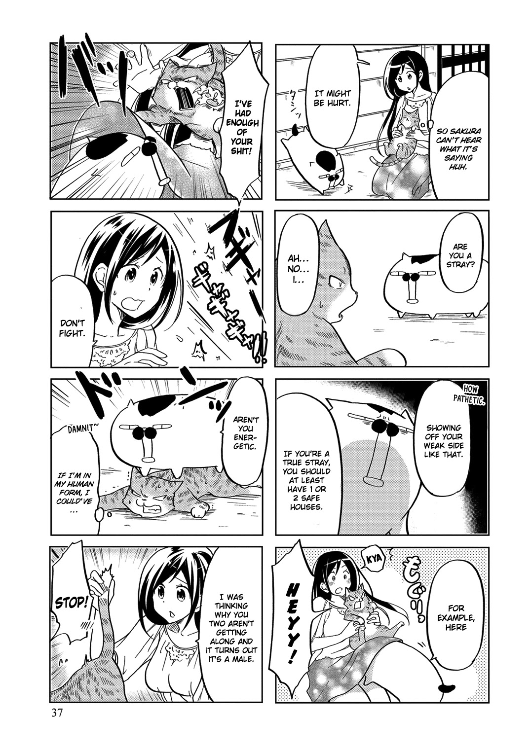 Itoshi No Sakura-San Chapter 25 #6