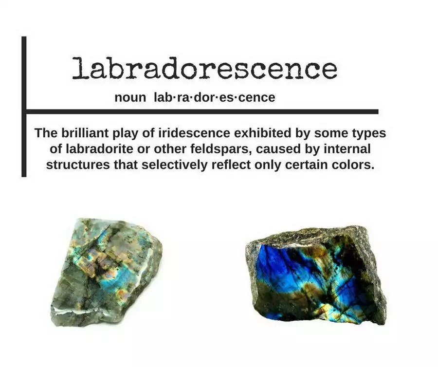 Labradorescence Chapter 1 #3