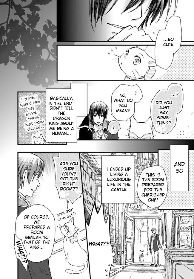 Fukushuu Wo Chikatta Shironeko Wa Ryuuou No Hiza No Jou De Damin Wo Musaboru Chapter 8.2 #4