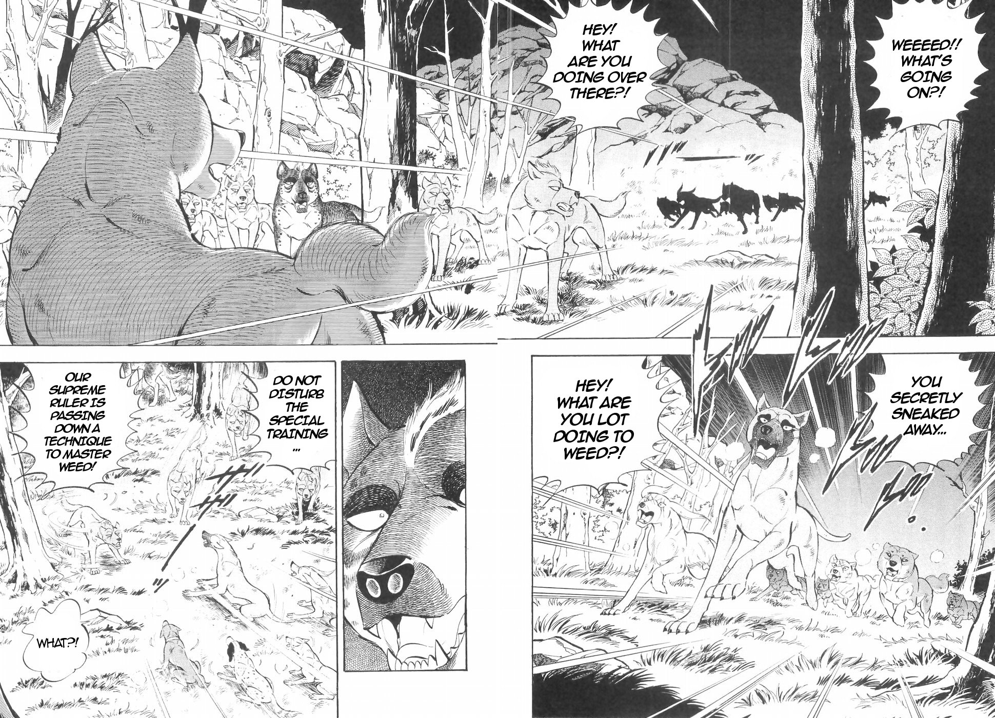 Ginga Densetsu Weed Chapter 139 #12