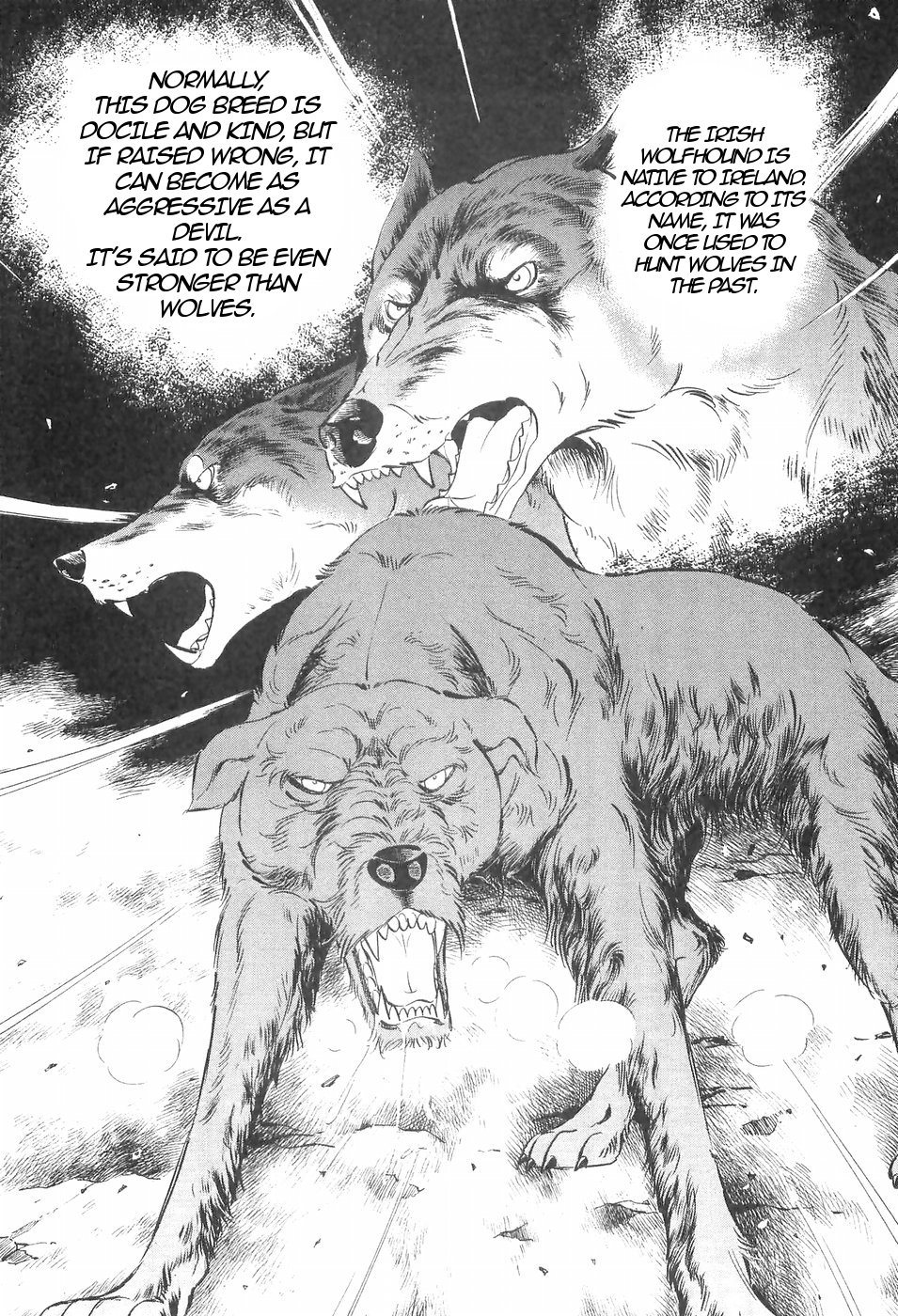 Ginga Densetsu Weed Chapter 132 #20