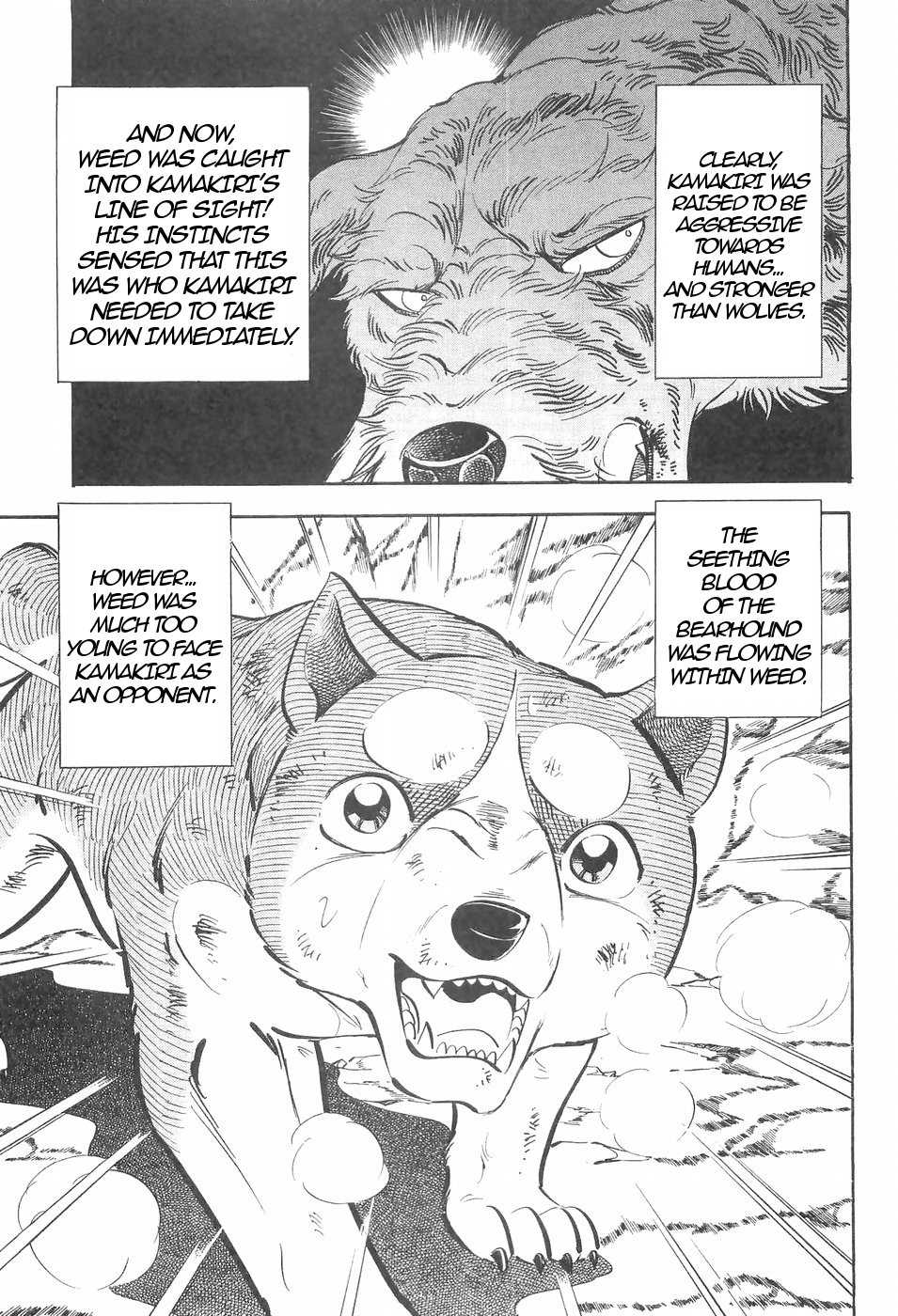 Ginga Densetsu Weed Chapter 132 #21