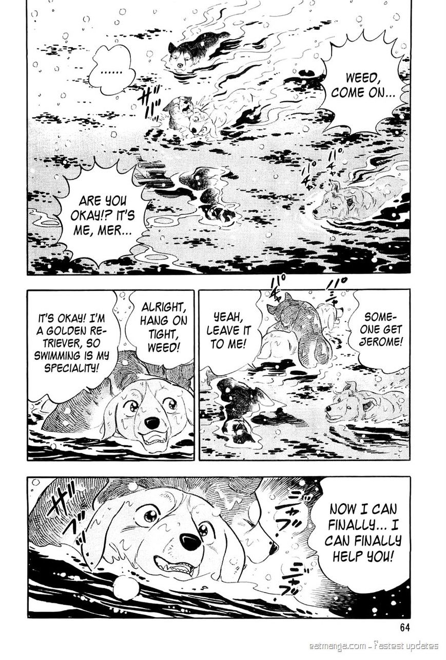 Ginga Densetsu Weed Chapter 51 #16