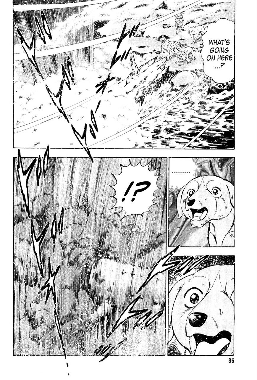 Ginga Densetsu Weed Chapter 50 #10