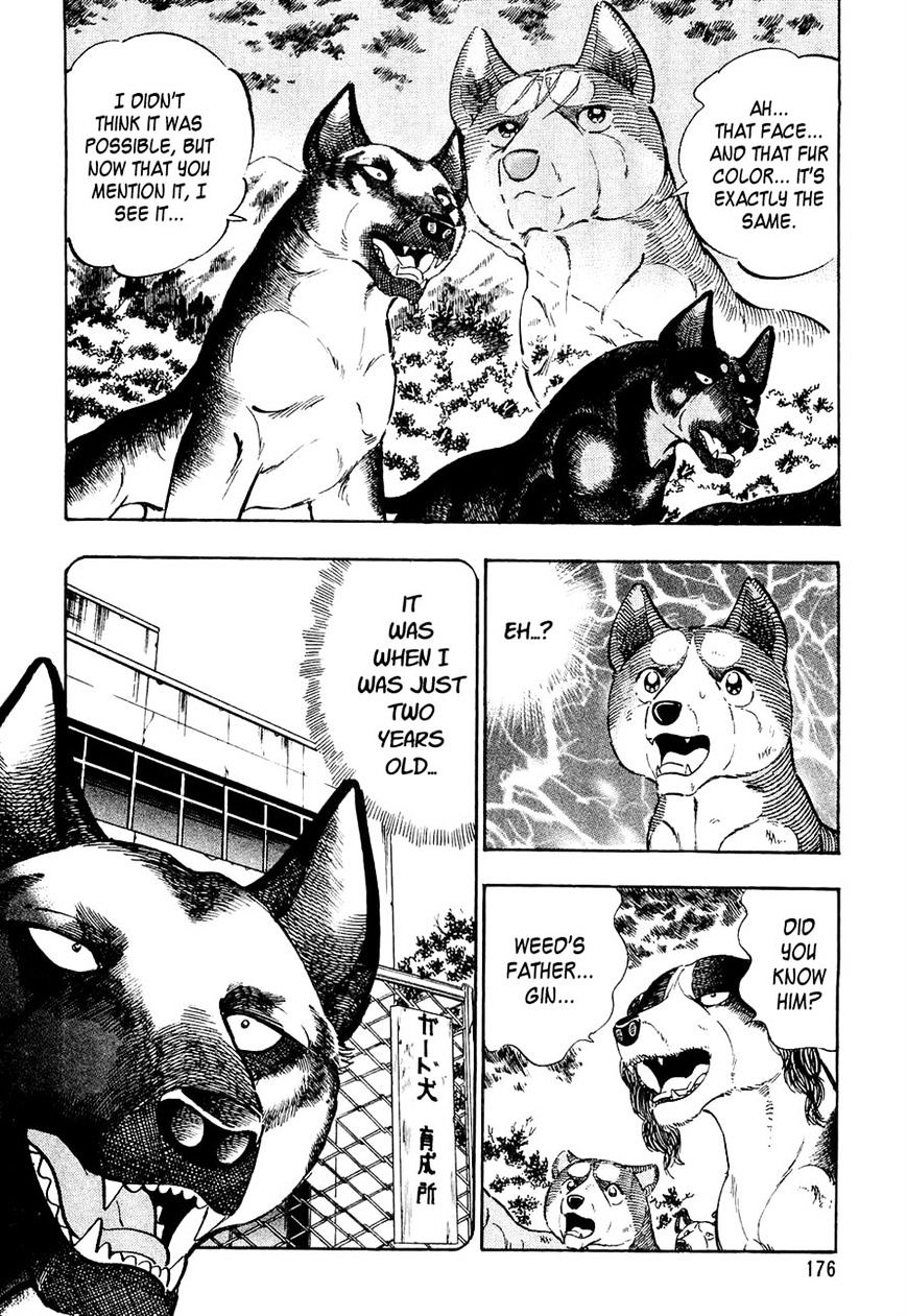 Ginga Densetsu Weed Chapter 29 #3