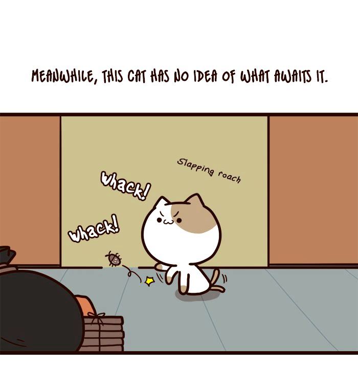 The Salary Man & Tofu The Funny Cat Chapter 5 #31