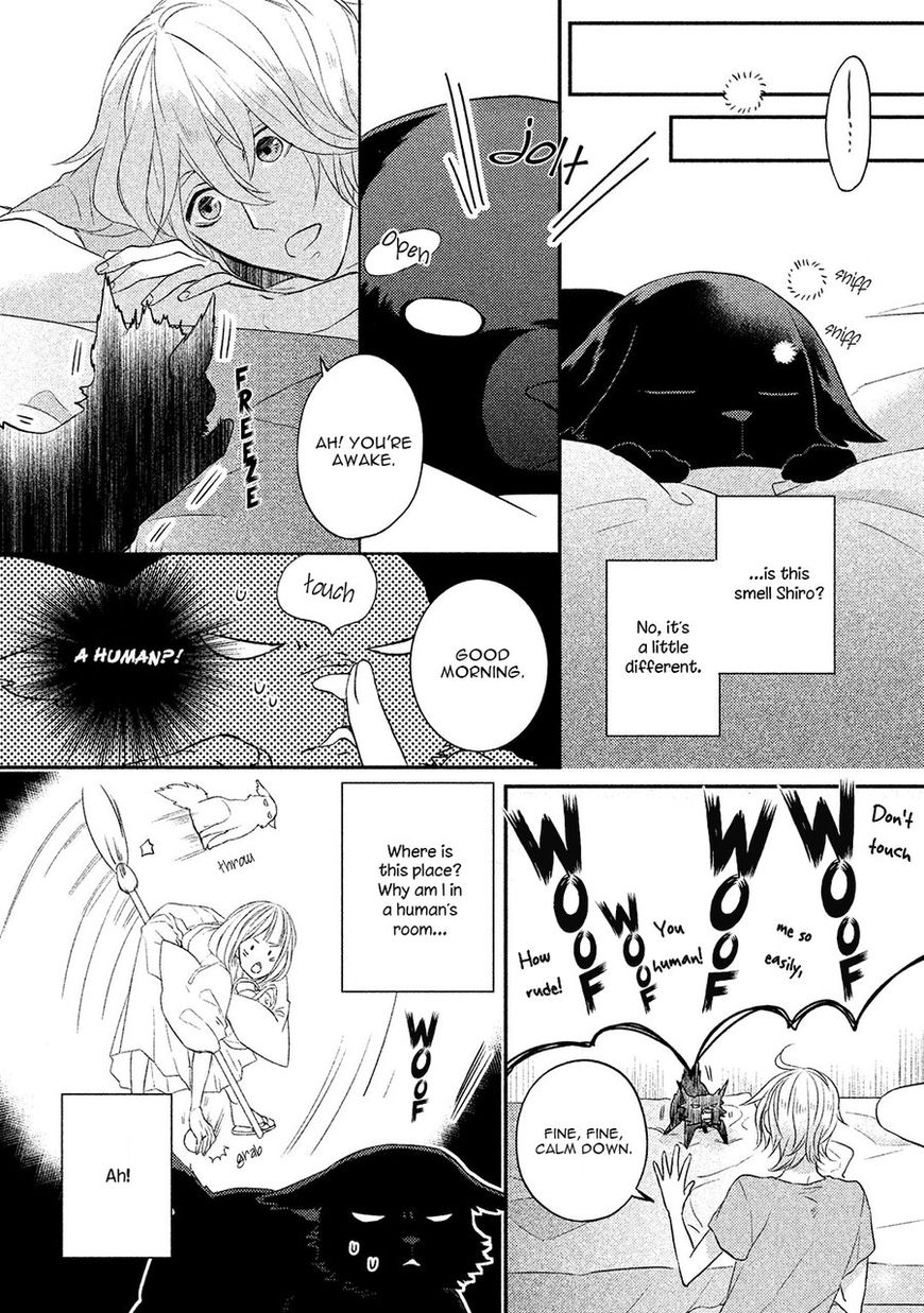 Kamisama X Oresama X Oyomesama Chapter 4 #8