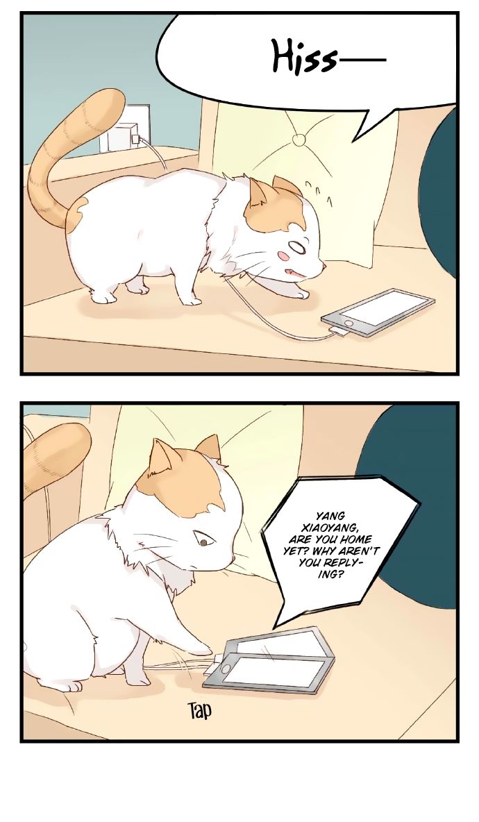 Mister Cat Chapter 16 #4