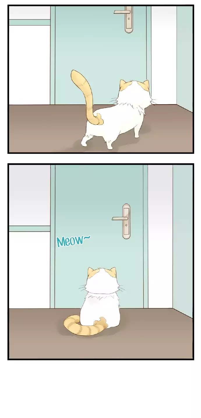 Mister Cat Chapter 9 #7